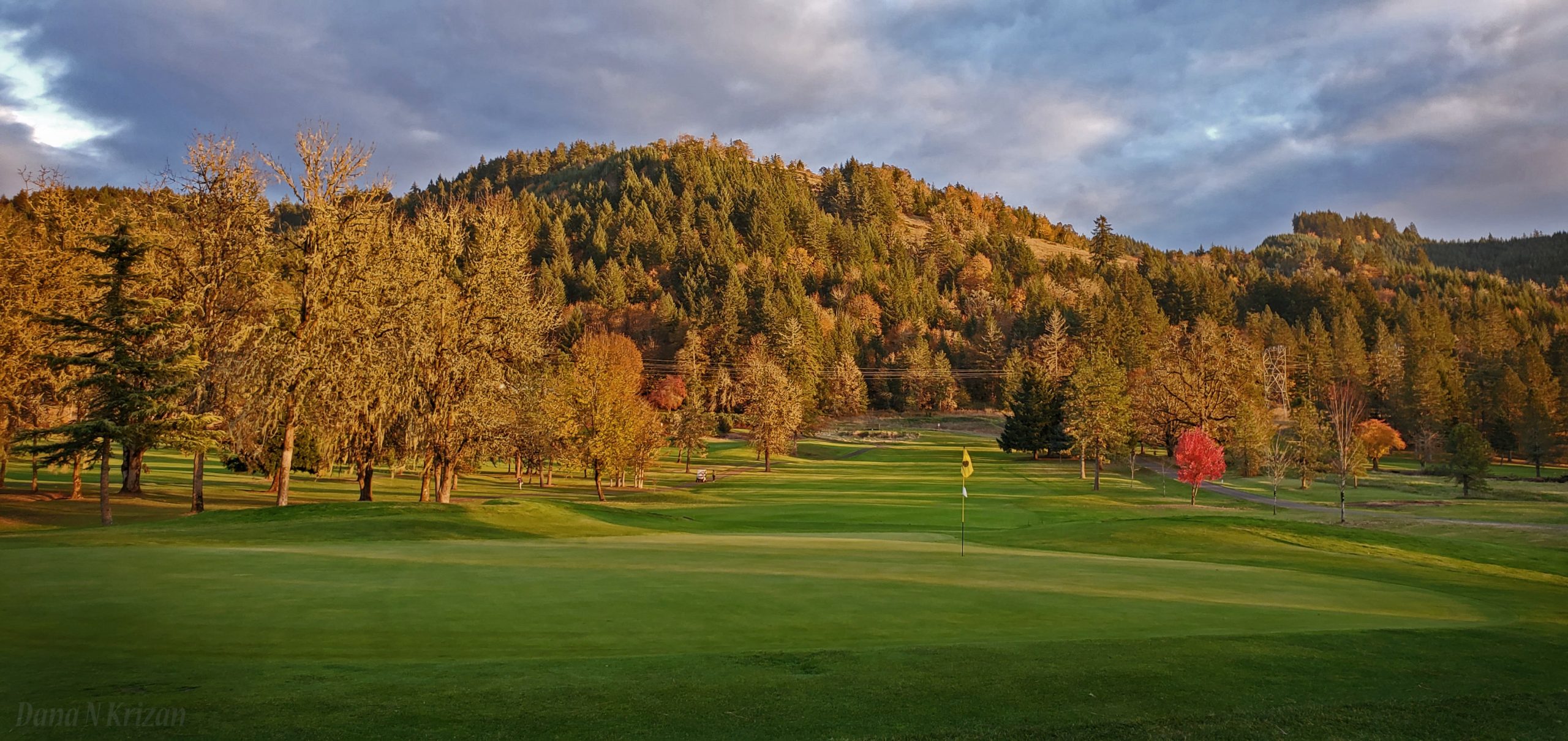 Pine Ridge Golf Club, Springfield, Oregon Golf course information and